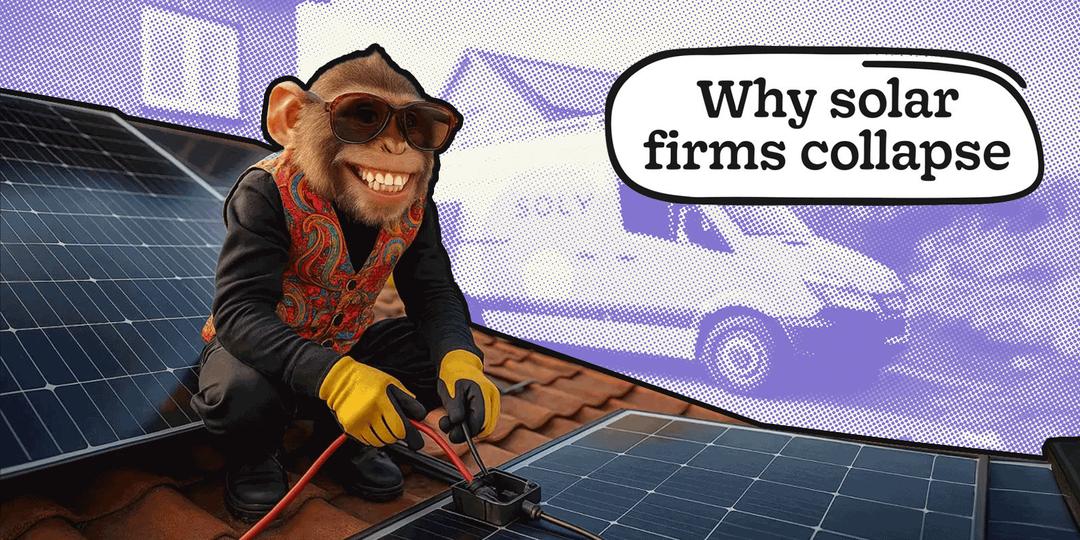 Why Have So Many Solar Companies Gone Bust/Bankrupt?